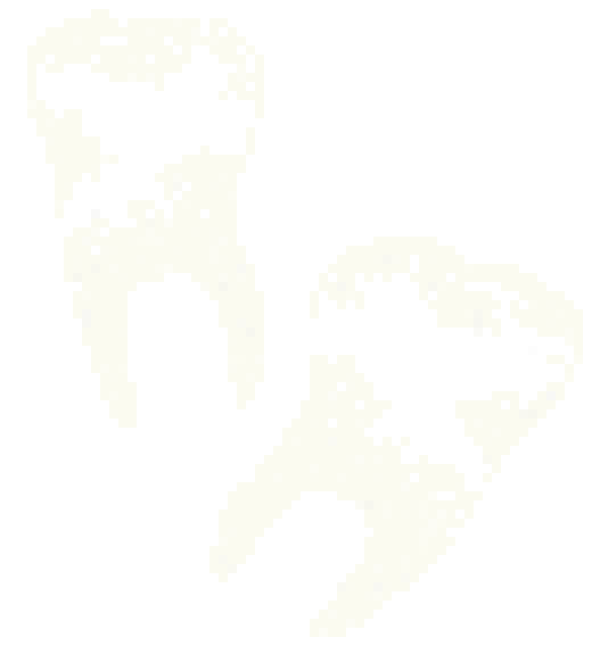 [f42366] Untitled