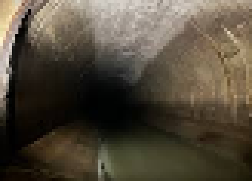 [bce8e5] SEEMINGLY AND DELL TURN: seemingly sees openings to the north and west. dell sees openings to the north and west.