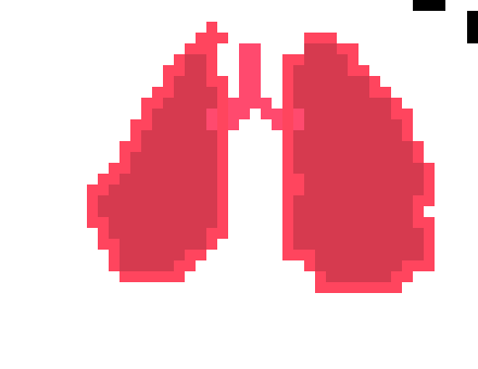 [2b4978] the lungs