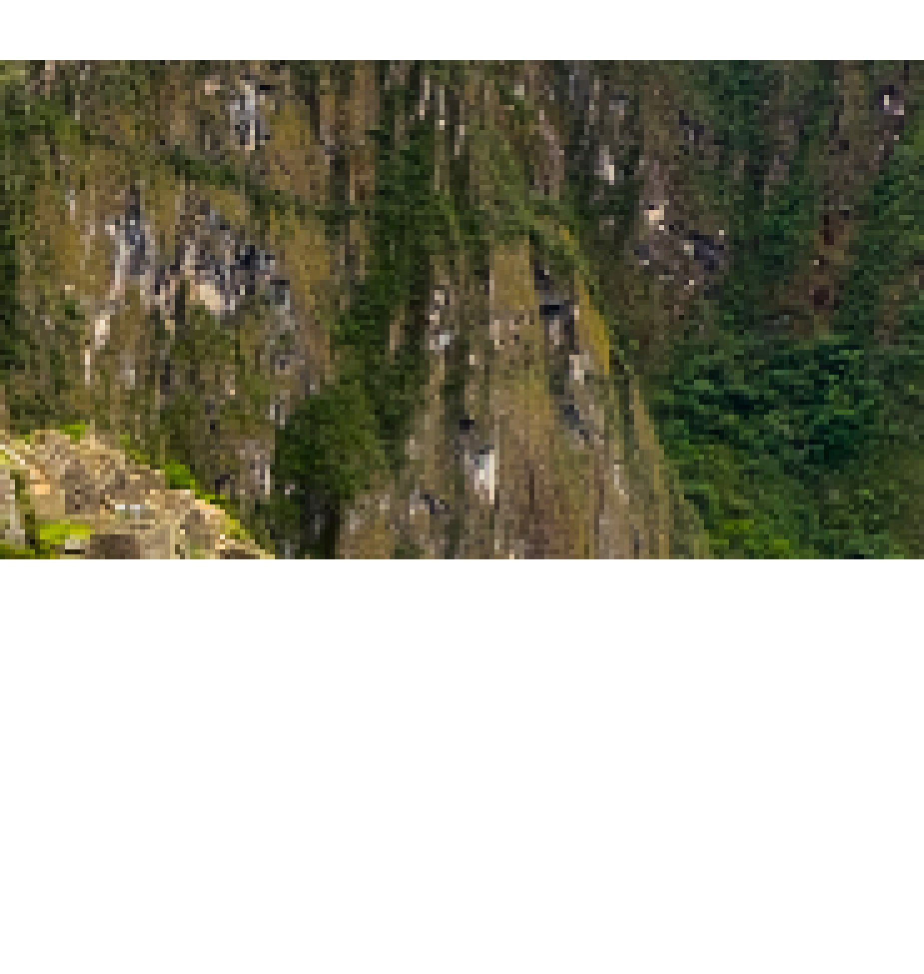 [d764d9] BACKGROUND_EDITED