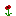 [9664c4] flower_rose