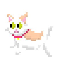 [9664c4] schrondingerCat
