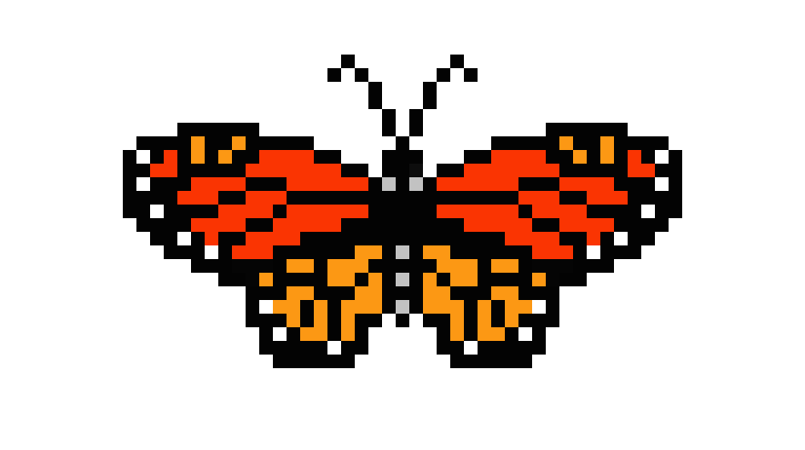 butterfly 1