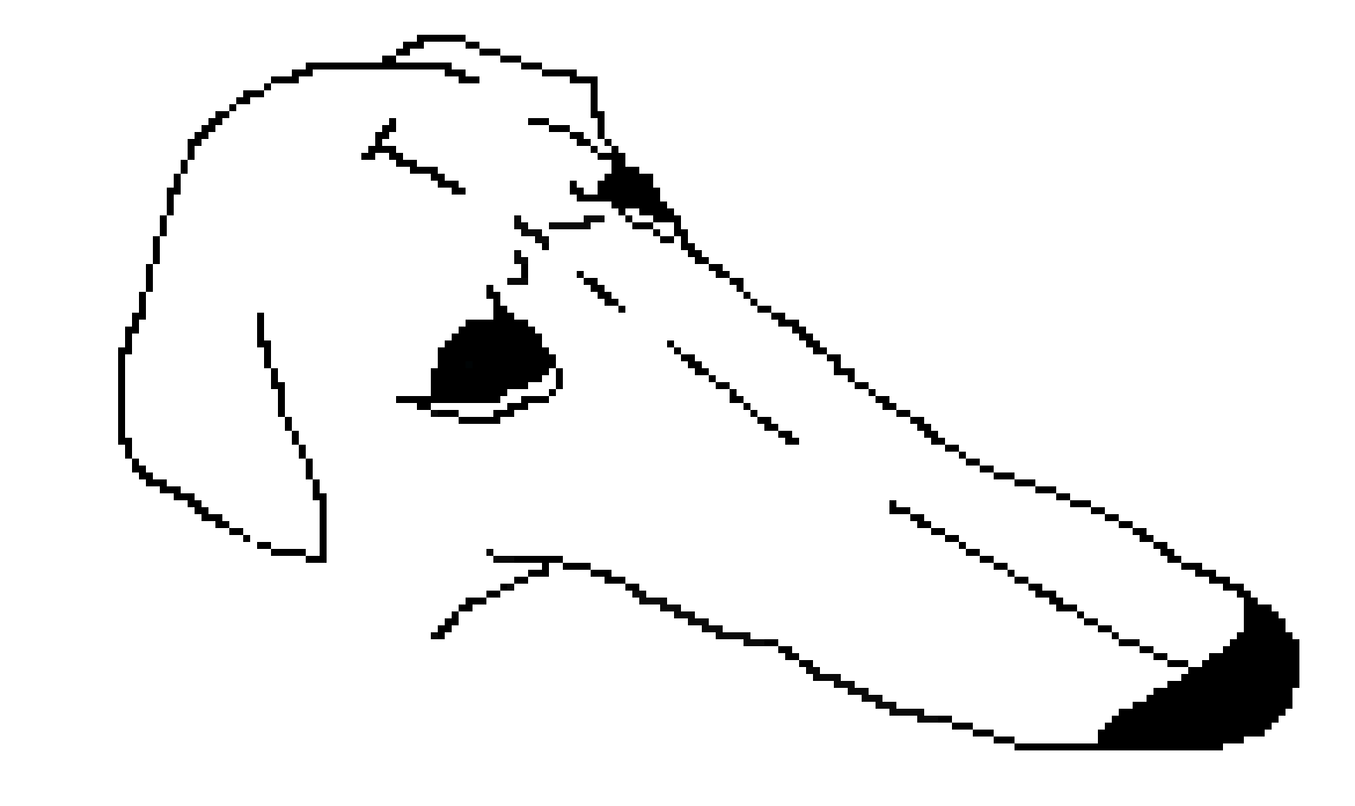 [ff6465] El Perro