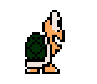 koopa!!!!!