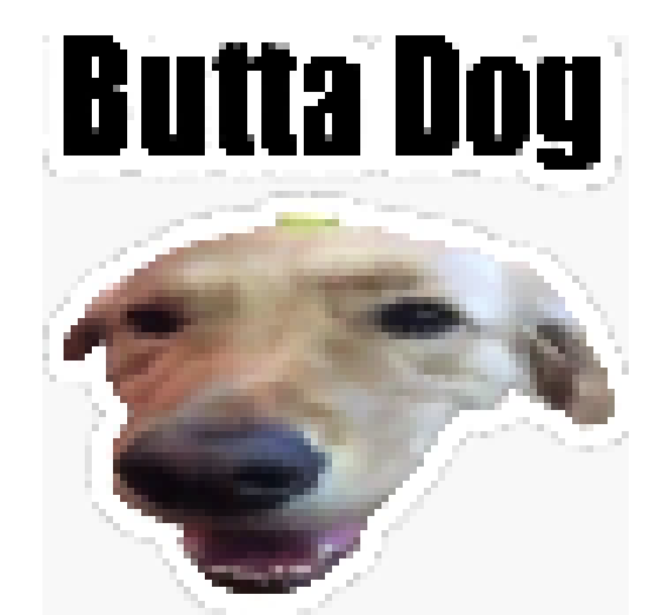 [990543] Butta Dog