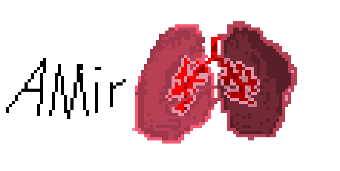 [2b4978] Lungs