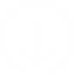 [2a9c79] HybridIcon