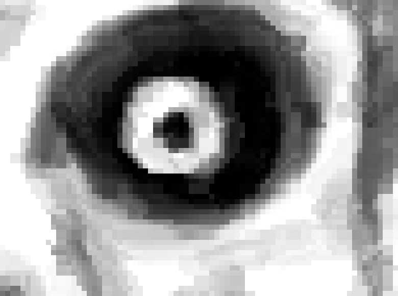 [64262c] ts pmo