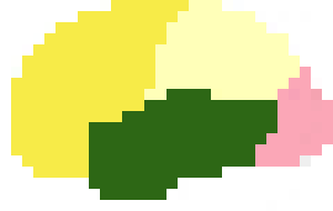 [b751a4] brain