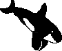 [9664c4] orca