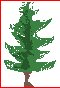 bigtree