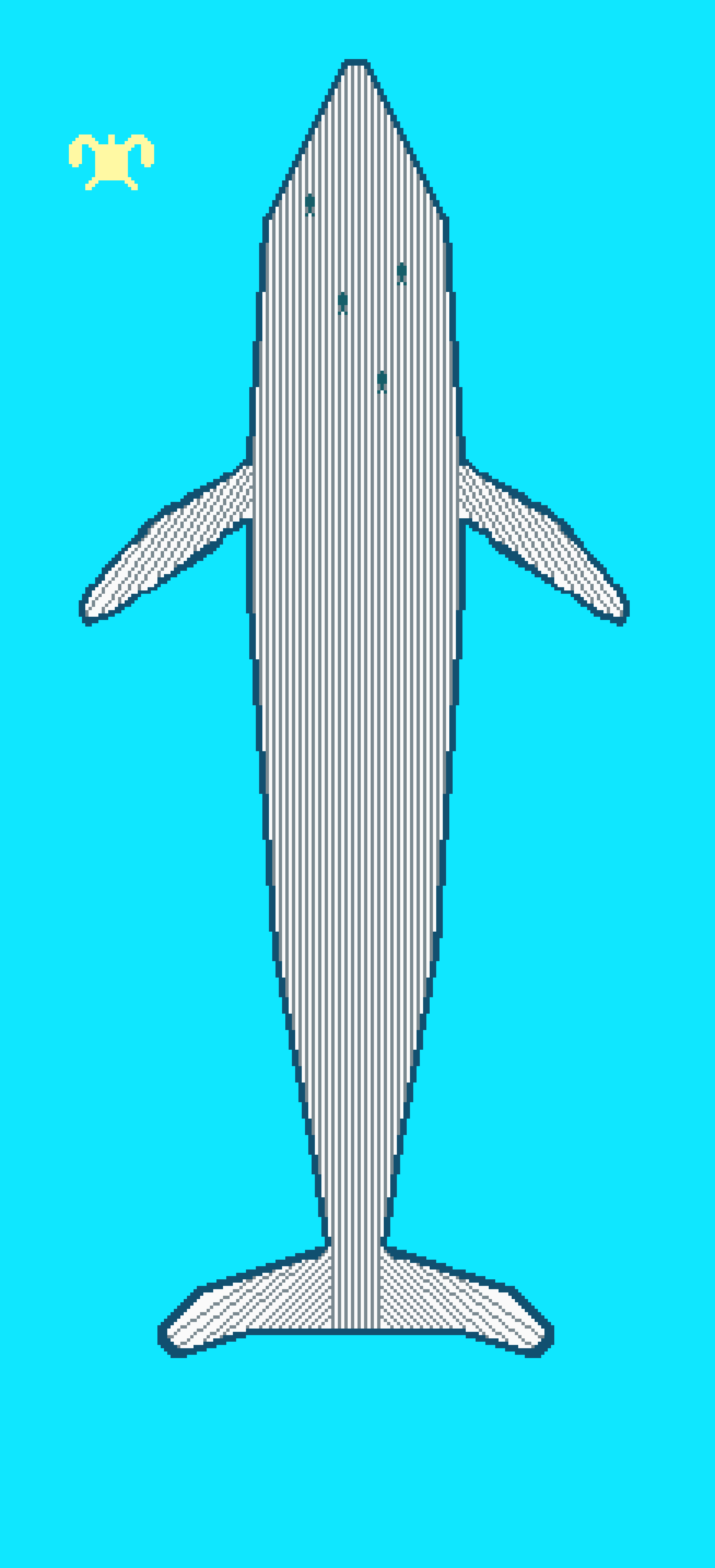 whale skateboard