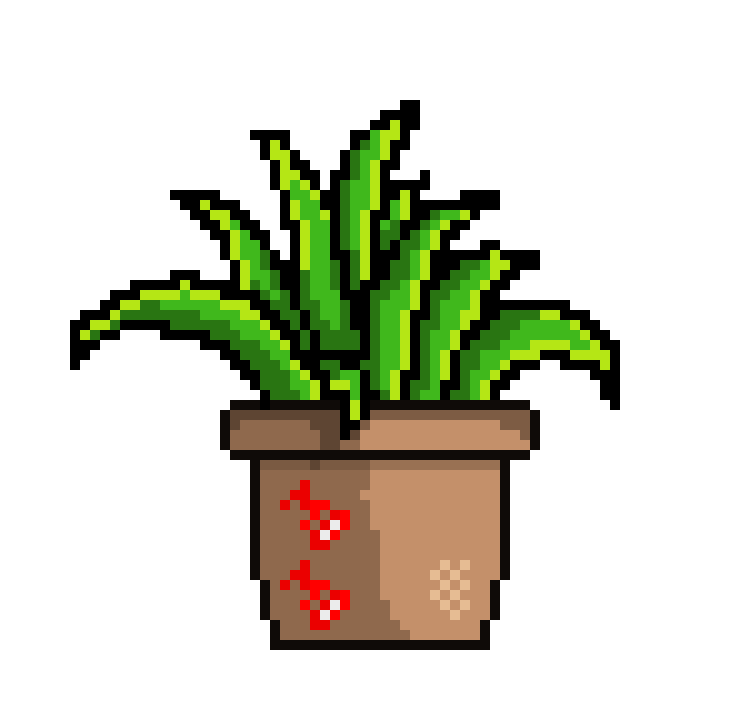 [cd1c77] Momo Plant