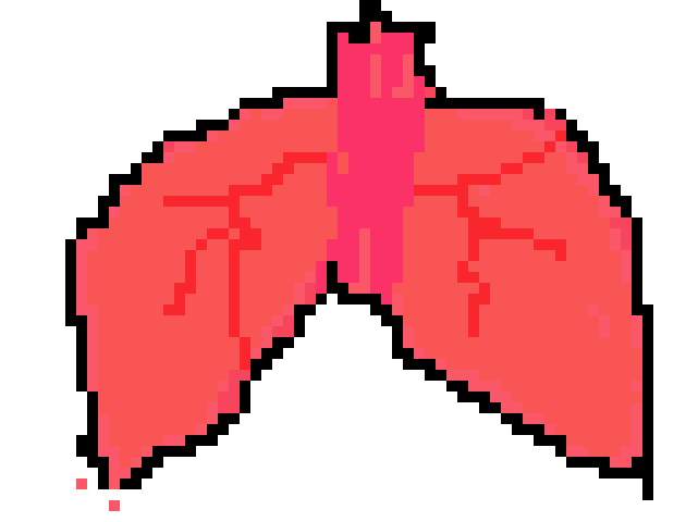 [106076] Audrey's lungs