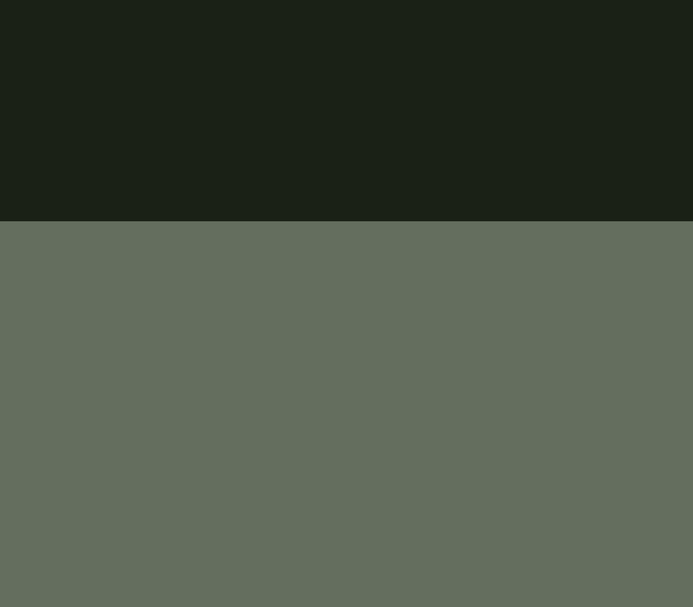 [1f80ec] greygreen
