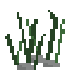 [e33ace] Seaweed