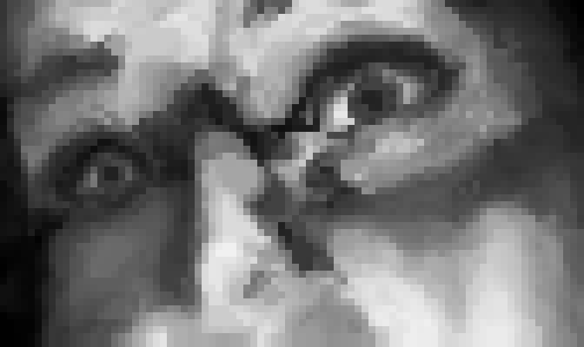 [8295da] who's torrent