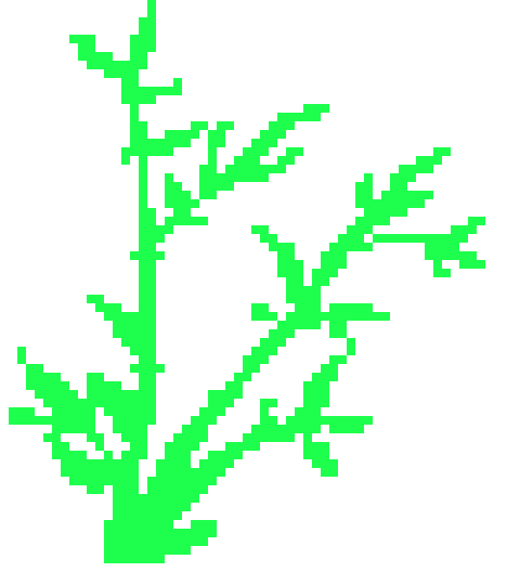 [9664c4] bamboo