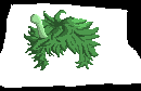 [371b3b] ergergfieger