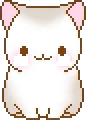 [60562c] кот