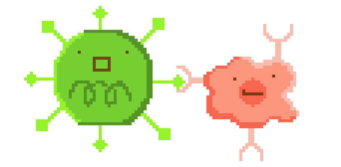 [c95c85]  B-cell and virus