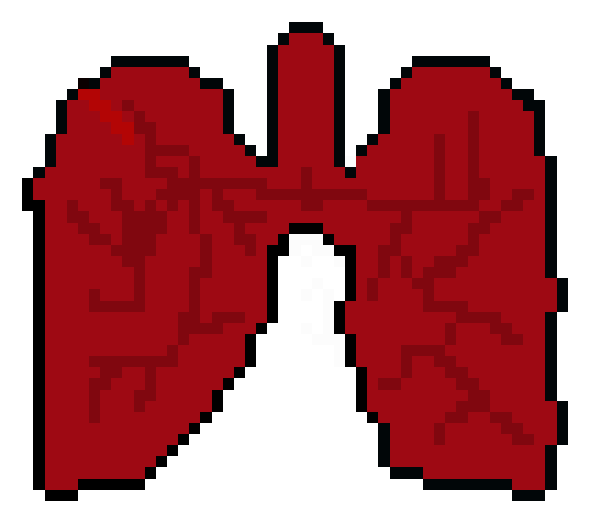[0cc342] Lungs