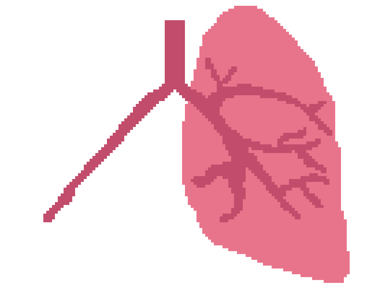 [401978] Pixel Lung