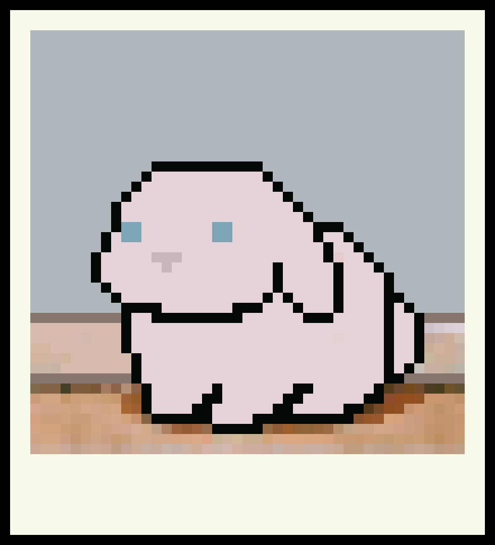 [cfe89f] PolaroidBunnyBG