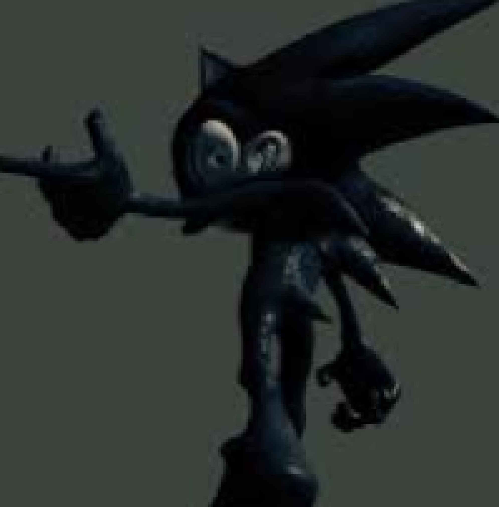 [442b72] what is he pointing at