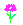 [c1d0fb] flower_purple