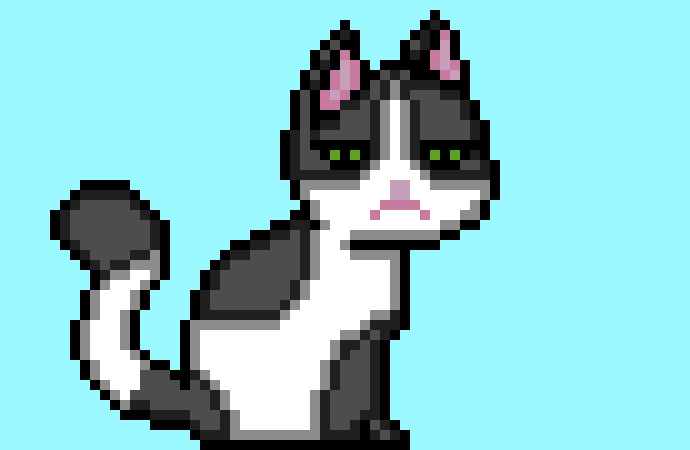 [9664c4] My amazing cat