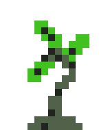 [99c07c] Small Withered Palmtree 1