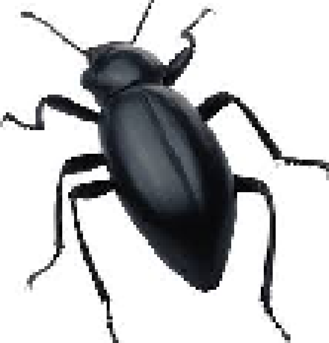 [0835f6] bug