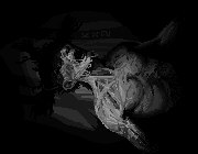 [d8594c] darkwood