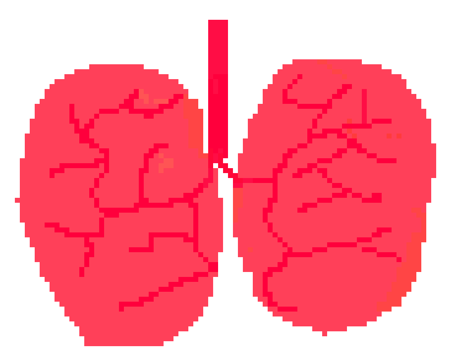 [401978] Pixel Lung