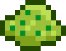 [773d8e] buisson