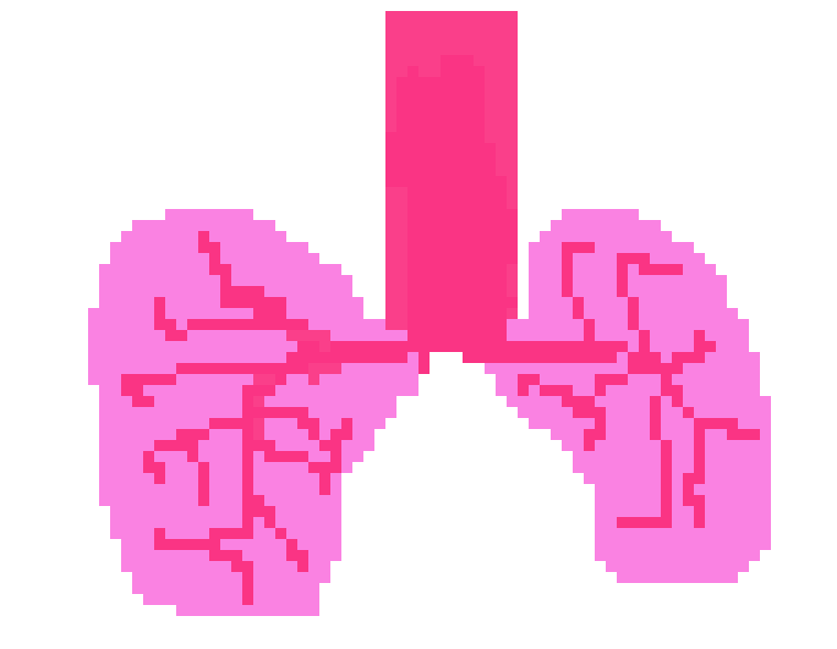 [570043] MY LUNGS