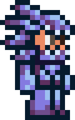 [ff2f9a] terraria dragon vanity set