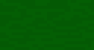 [9ede60] MyGrass