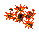 [2931c9] Explosion 6