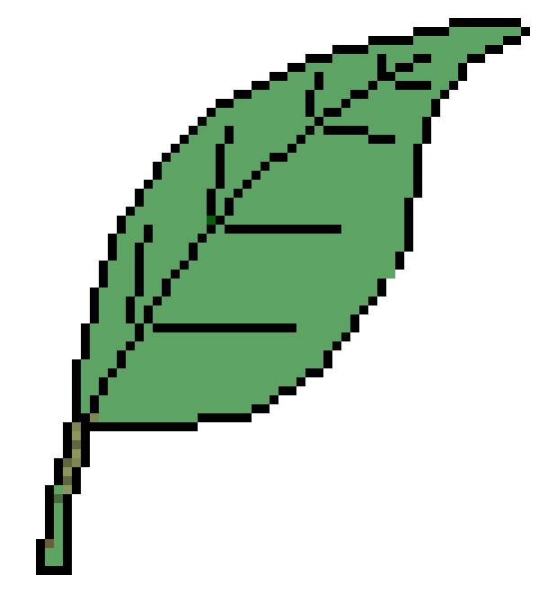 [658013] Leaf