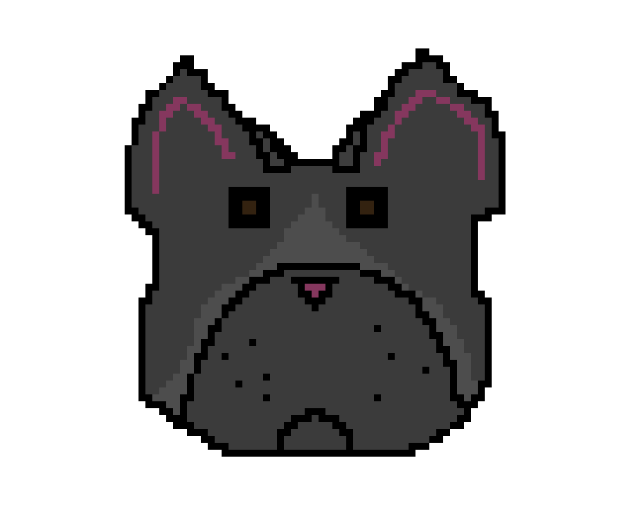 [9664c4] Frenchie