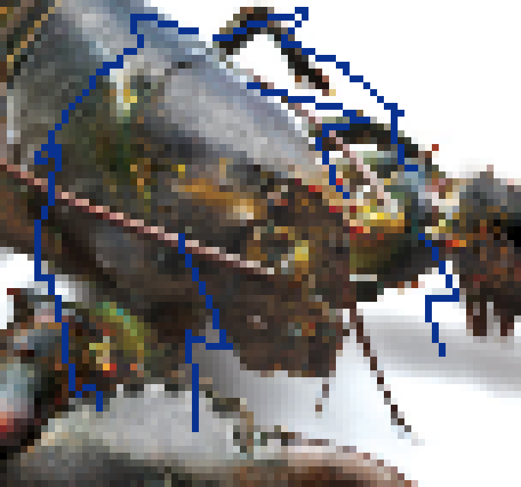 [9ca096] Fym exploded