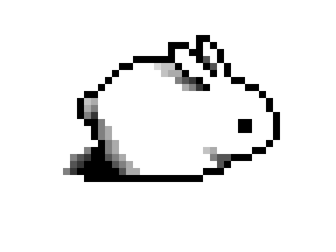 [9664c4] bunbun