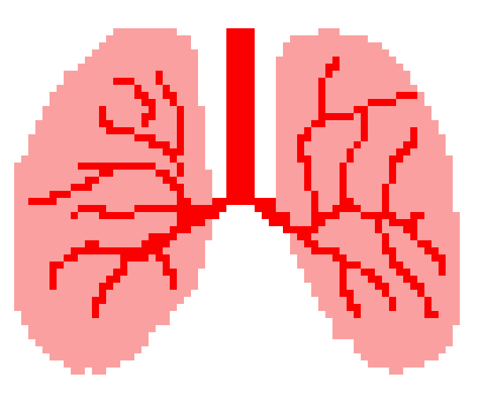 [2b4978] Elva Lungs