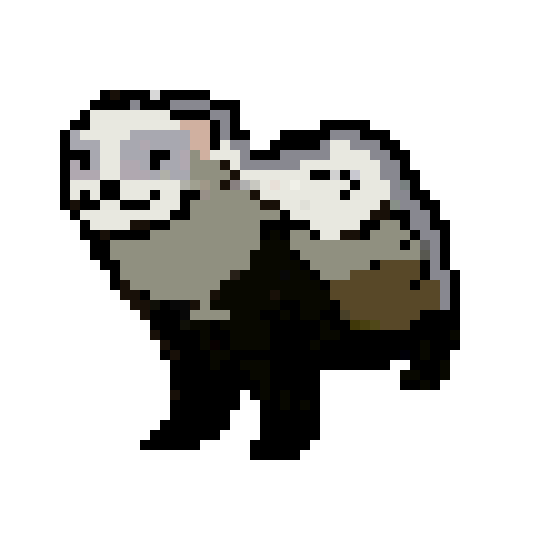 [56380d] ferret