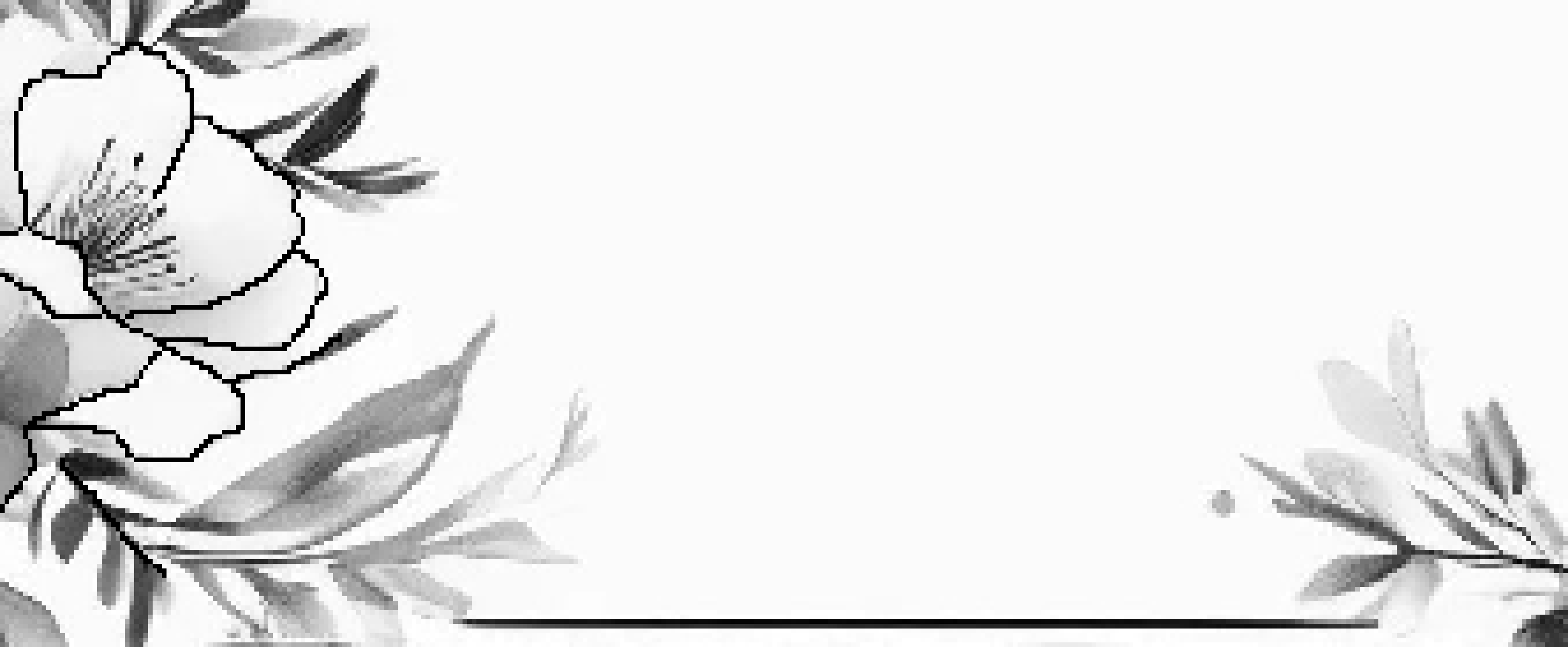 [1a2a4e] TEST