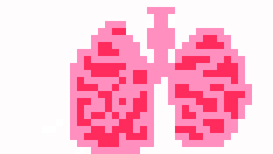 [570043] LUNGS