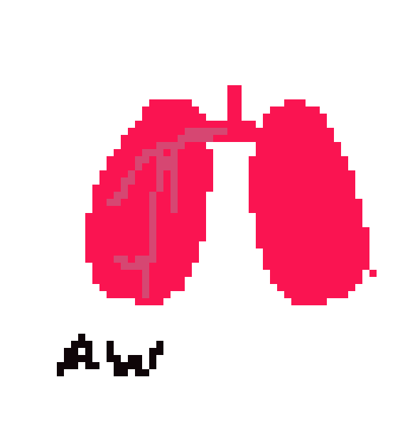 [2b4978] Lungs